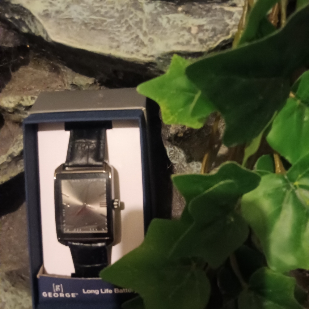 Men's watch